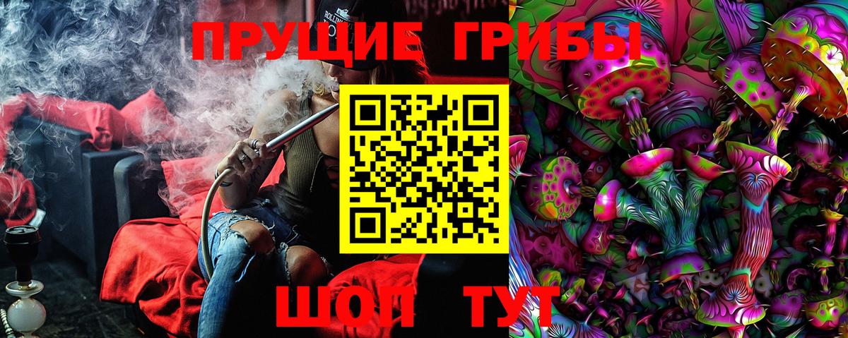 Лыткарино  Псилоцибиновые грибы GOLDEN TEACHER  Вход с VPN 