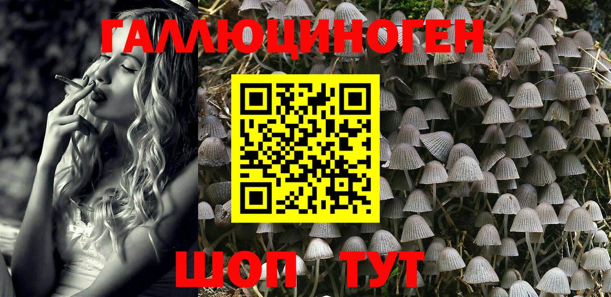 Галлюциногенные грибы Magic Shrooms Лыткарино